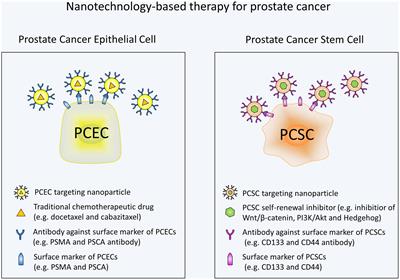 Cáncer de próstata PC3